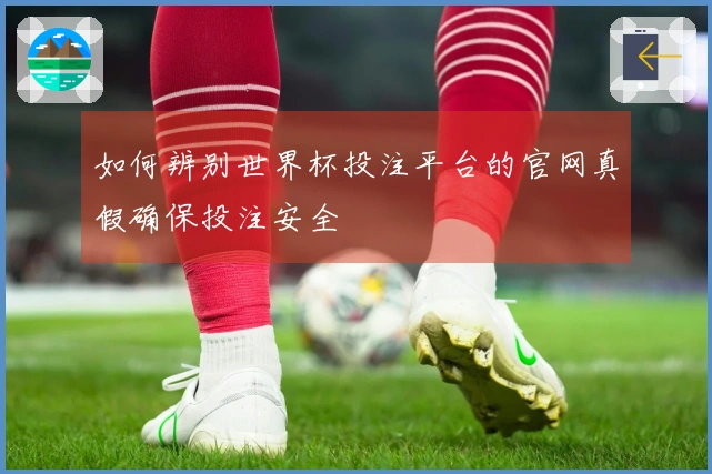 如何辨别世界杯投注平台的官网真假确保投注安全