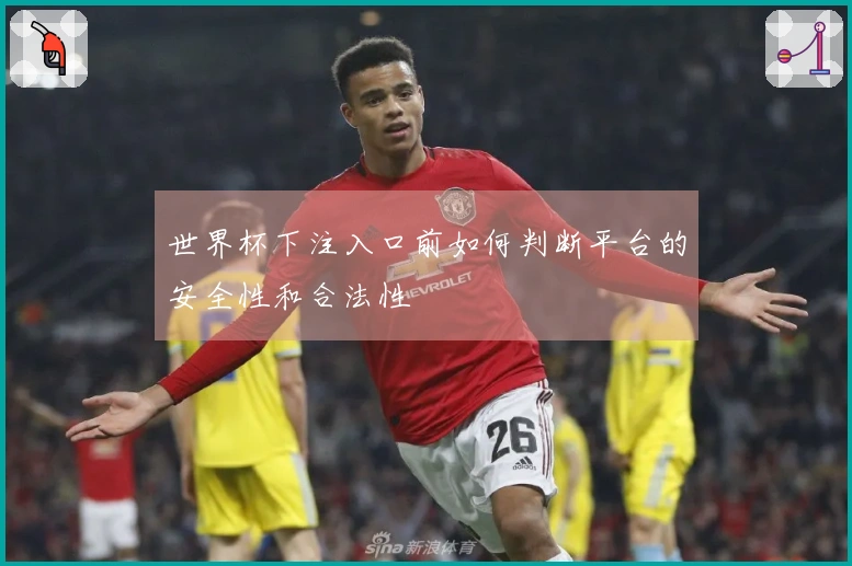 世界杯下注入口前如何判断平台的安全性和合法性