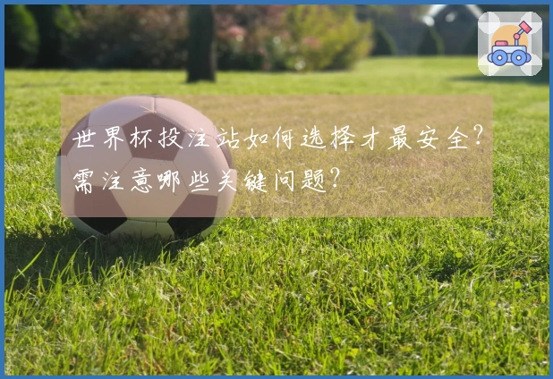 世界杯投注站如何选择才最安全？需注意哪些关键问题？