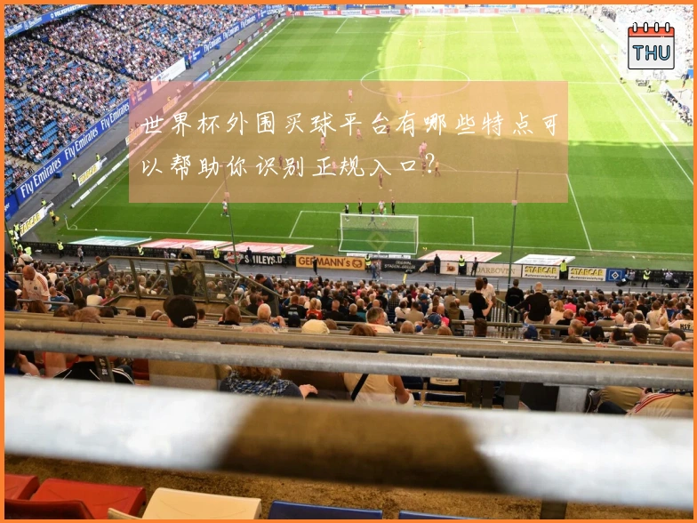 世界杯外围买球平台有哪些特点可以帮助你识别正规入口？