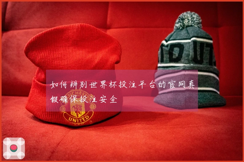 如何辨别世界杯投注平台的官网真假确保投注安全