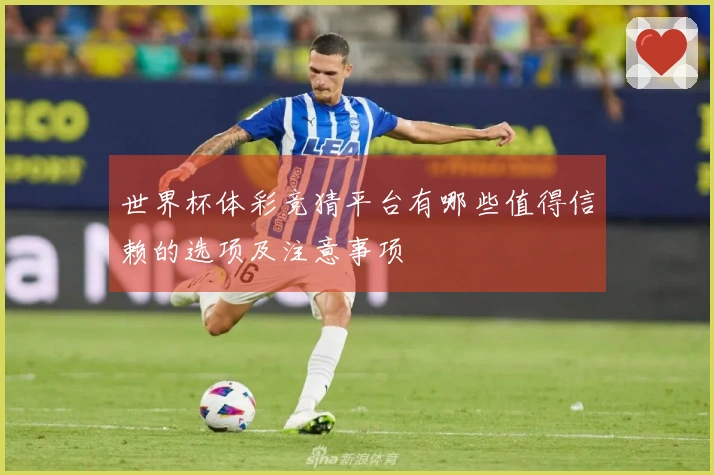 世界杯体彩竞猜平台有哪些值得信赖的选项及注意事项